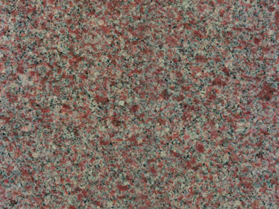 WILD ROSE polished granite swatch